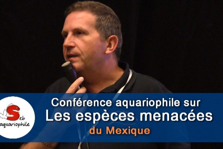 Conférence aquariophile avec Alain Grioche , membre de l'association France vivipare