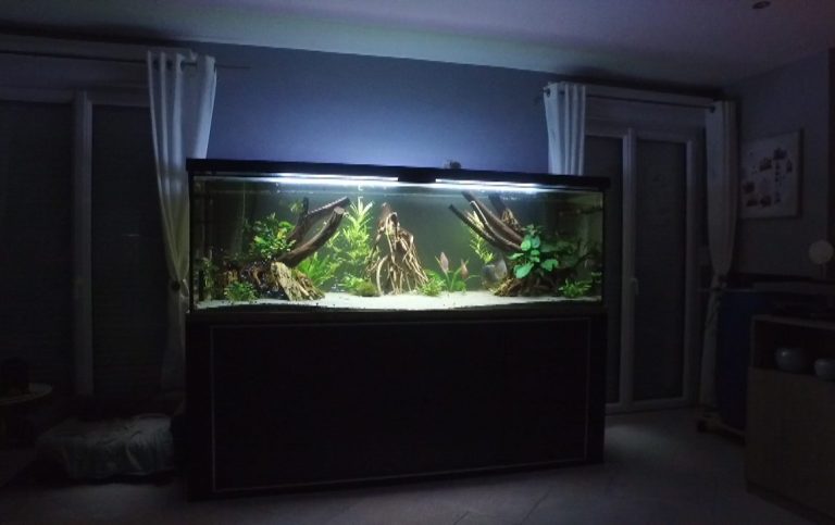 aquarium 1200 litres