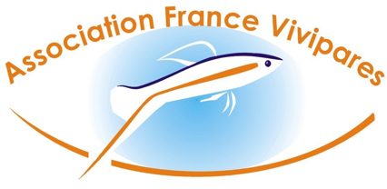 Conférence aquariophile avec Alain Grioche , membre de l'association france vivipare