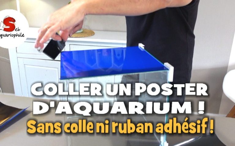 Comment coller un poster d'aquarium sans colle ni ruban adhésif ! C'est facile ! Cette méthode est réversible et ne nécessite pas de colle, 